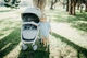 Прогулочная коляска Greentom 8718858972302 Classic Grey-White - изображение 6