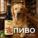 Пиво для собак зі смаком індички, 0.33 л, MODES - изображение 1