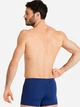 Плавки пляжные мужские Arena Team Swim Short Solid 004776-750 105 Синие (3468336635933) - изображение 2