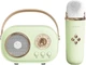 Портативна колонка SmartX Platinum C-20 5W Green (LGC20GR) - зображення 1