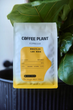 Кава в зернах Coffee Plant Brazylia Lua Roxa Espresso 250 г (5903815292590) - зображення 3
