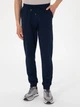 Спортивные штаны мужские Pierre Cardin G021SZ0OP-000-2235101(lacivert) L Темно-синие (8673858798491) - зображення 1