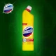 Антибактеріальний універсальний засіб Domestos 24 години «Лимонна свіжість» 750 мл - изображение 4