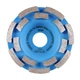Фреза алмазная DGS-S 100/22,23-14 Beton - изображение 1