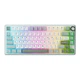 Игровая проводная клавиатура Royal Kludge RK R75 75% RGB USB Green and White - изображение 1