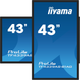 Monitor 43" iiyama ProLite TF4339AS-B1AG - obraz 6