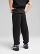 Детские спортивные штаны теплые на флисе для мальчика Puma Ess No. 1 Logo Sweatpants Fl Ps 68493301 116 см Черные (4067983685804) - изображение 2