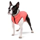 Курточка для животных Airy Vest двусторонняя М 40 кораллово-серая (1846) - изображение 2