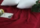 Простынь-покрывало Tag Tekstil пике 160х235 см. Косичка бордо - изображение 4