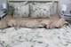 Комплект постельного белья с компаньоном Tag Tekstil S531 King Size (Евро maxi) - изображение 5