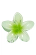 Шпилька для волосся Hawaiian flower Крабик затискач Гавайська квітка Fashion Jewelry Набір з 3 штук Green Зелений - зображення 2