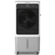Охладитель воздуха Olimpia Splendid PELER 40 (OS-99207) - изображение 4
