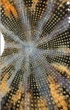 Эстетика и рельеф Узор DFA Круглый трафарет для покраски или декоративной штукатурки 65х65см, толщина 0,3-1 мм (C00016-d) - изображение 11