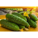 Огурец Феникс 1 г, ТМ Вкусный - изображение 1