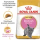 Корм для кошенят ROYAL CANIN Роял канін KITTEN BRITISH SHORTHAIR 10 кг. - изображение 8