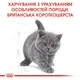 Корм для кошенят ROYAL CANIN Роял канін KITTEN BRITISH SHORTHAIR 10 кг. - изображение 4