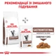 Корм для дорослих котів ROYAL CANIN Роял канін GASTRO INTESTINAL MODERATE CALORIE CAT 2.0 кг. - изображение 9