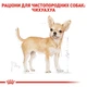 Корм для дорослих собак ROYAL CANIN Роял канін CHIHUAHUA ADULT 3 кг. - изображение 3