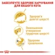 Корм для дорослих котів ROYAL CANIN Роял канін PERSIAN ADULT 2.0 кг. - изображение 5