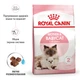 Корм для новонароджених кошенят і кішок ROYAL CANIN Роял канін MOTHER&BABYCAT 0.4 кг. - изображение 9