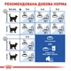 Корм для домашніх котів ROYAL CANIN Роял канін INDOOR 4.0 кг. - изображение 5