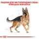 Корм для дорослих собак ROYAL CANIN Роял канін GERMAN SHEPHERD ADULT 11 кг. - изображение 3