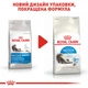 Корм для домашніх котів ROYAL CANIN Роял канін INDOOR LONGHAIR 2.0 кг. - изображение 3