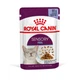 Вологий корм для дорослих котів ROYAL CANIN Роял канін SENSORY FEEL JELLY 0.085 кг 12шт. - зображення 1