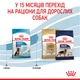 Корм для цуценят ROYAL CANIN Роял канін MAXI PUPPY 4 кг. - изображение 5