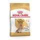 Корм для літніх собак породи Йоркширський Тер'єр Royal Canin Yorkshire Terrier Adult 8+, 1,5 кг - зображення 1