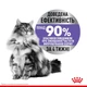 Корм для дорослих стерилізованих котів ROYAL CANIN Роял канін APPETITE CONTROL CARE 2.0 кг. - изображение 6