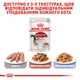 Вологий корм для дорослих котів ROYAL CANIN Роял канін INSTINCTIVE IN JELLY 0.085 кг 12шт. - зображення 7
