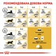 Корм для дорослих котів ROYAL CANIN Роял канін SPHYNX ADULT 10.0 кг. - изображение 3