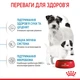 Корм для новонароджених собак ROYAL CANIN Роял канін MINI STARTER 1 кг. - изображение 5