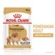 Вологий корм для собак ROYAL CANIN Роял канін POMERANIAN ADULT паштет 85 г 12шт. - изображение 8