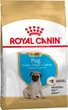 Корм для щенков породы Мопс Royal Canin Pug Puppy 1,5 кг - изображение 1