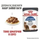 Royal Canin Light Weight Care вологий корм для кішок від набору зайвої ваги в соусі 85 гр*12шт. - изображение 2