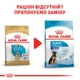Корм для цуценят ROYAL CANIN Роял канін LABRADOR PUPPY 12 кг. - изображение 2