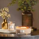 Ароматична свічка в склі Woodwick Medium Solar Ylang 275 г (1647919E) - зображення 3