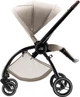 Коляска Britax-Romer Rio Teak (2000041613) - изображение 8