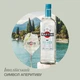Вермут Martini Bianco сладкий 0.5 л 15% (5010677922005) - изображение 5