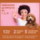 Спрей для приучения щенят к туалету Out! Go Here, 946 мл - изображение 2