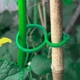 Кліпси для підв'язки рослин PlantClamps, зелені, 200 штук - зображення 2