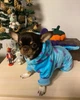 Костюм для собак флісовий Саллі XL Блакитний - зображення 11