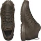 Кросівки з Gore-Tex Salomon Speed Assault 2 GTX 46.5 (11.5 UK) (30 см) Earth - зображення 10