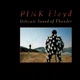 Pink Floyd – Delicate Sound Of Thunder (1988) 2 Audio CD (импорт, буклет) - изображение 1