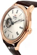 Мужские часы Orient FAG00001S0 / TAG00001S0 - изображение 2