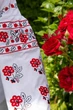 Жіноча вишиванка V&V Малинка M Білий (301052193-001) - изображение 3