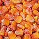 Краска для семян красная REDCORN 1 л - изображение 4
