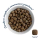 Гіпоалергенний сухий корм для дорослих собак великих порід HOME FOOD Hypoallergenic Форель та рис 10 кг - зображення 4